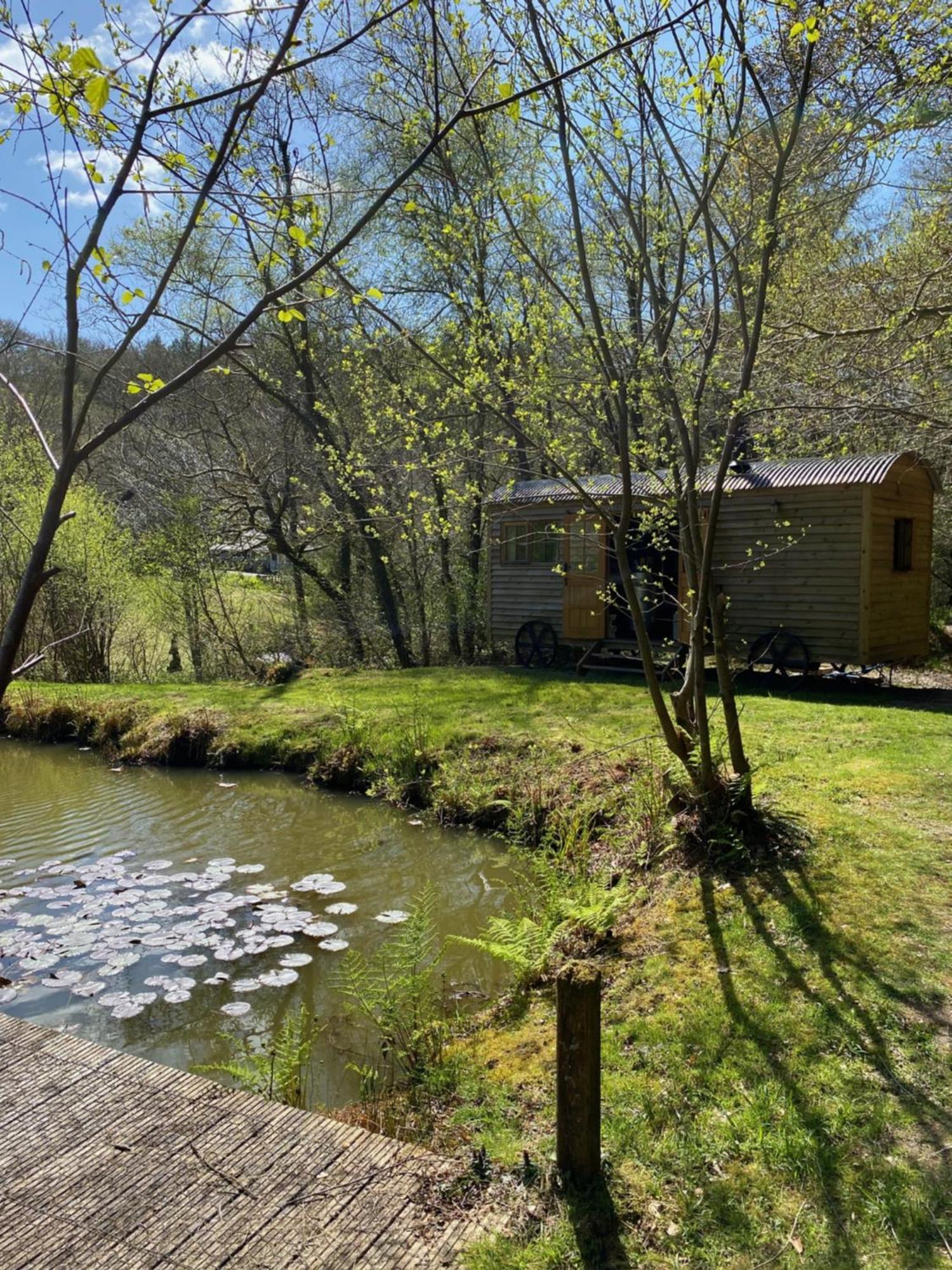 The Goose Nest Luxury Lakeside Shepherd Hut In Cardinham Woods, Cornwall Exterior foto